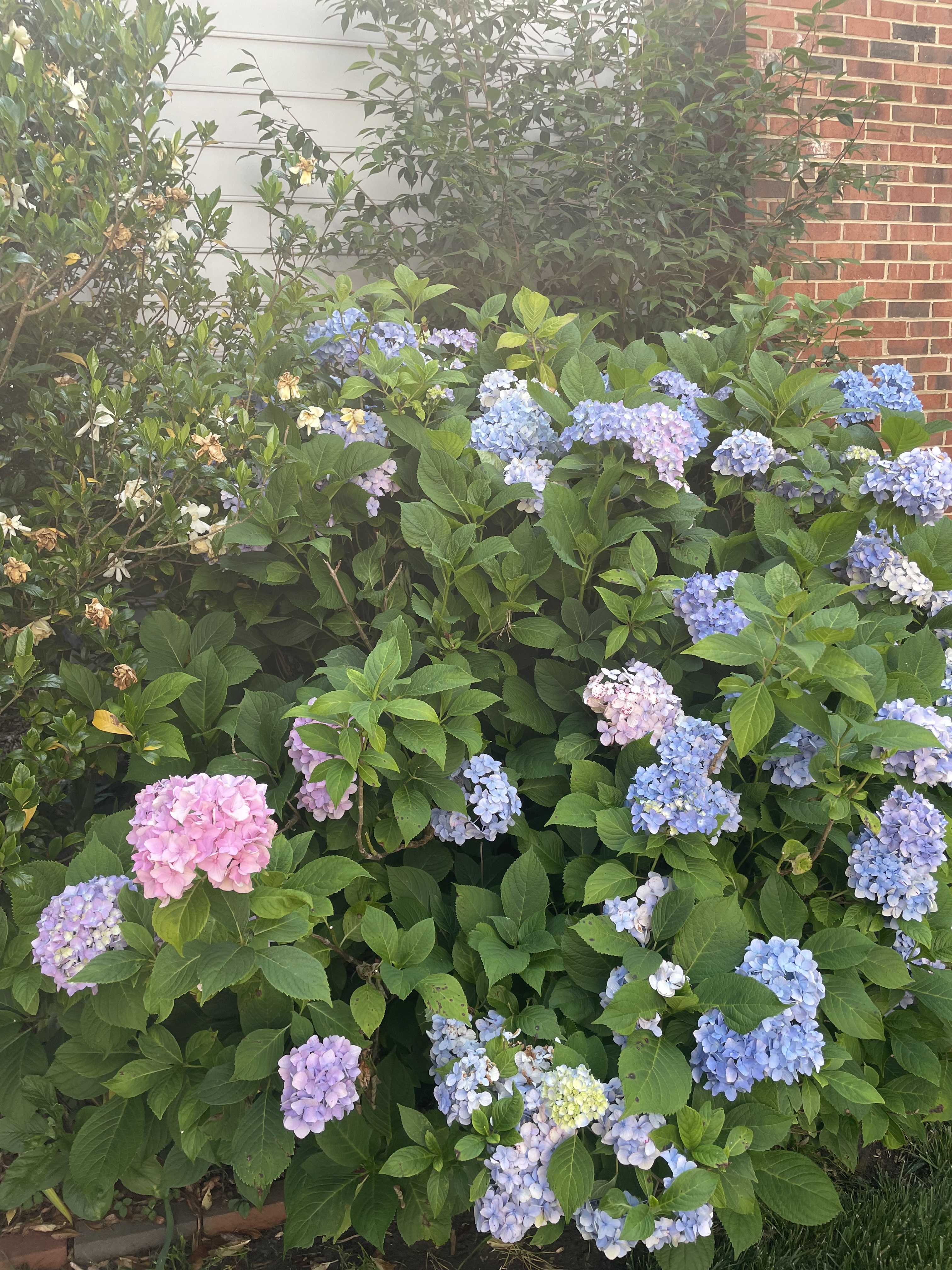 4117 Worley Drive Raleigh, NC 27613 - Photo 13 of 14