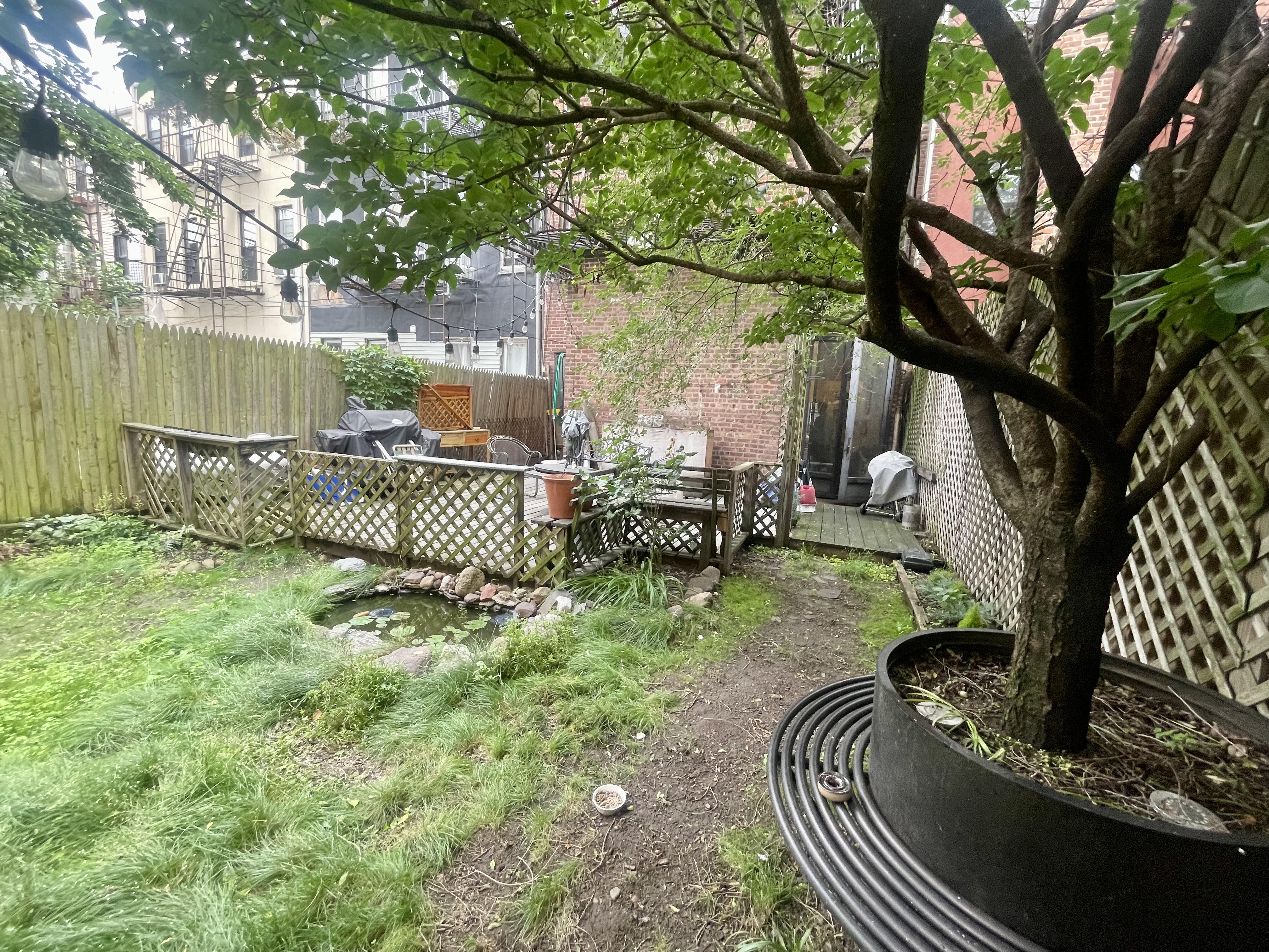 a view of backyard with seating space and trees