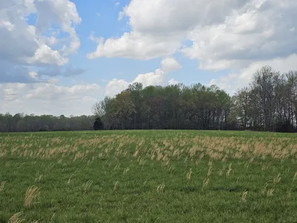 $235,000 | 0 McAfee Lane, Morrison, TN 37357