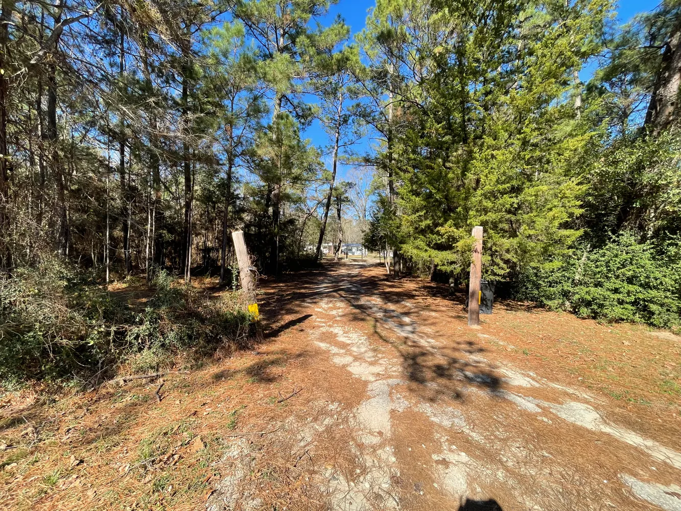 a view of a yard with a tree