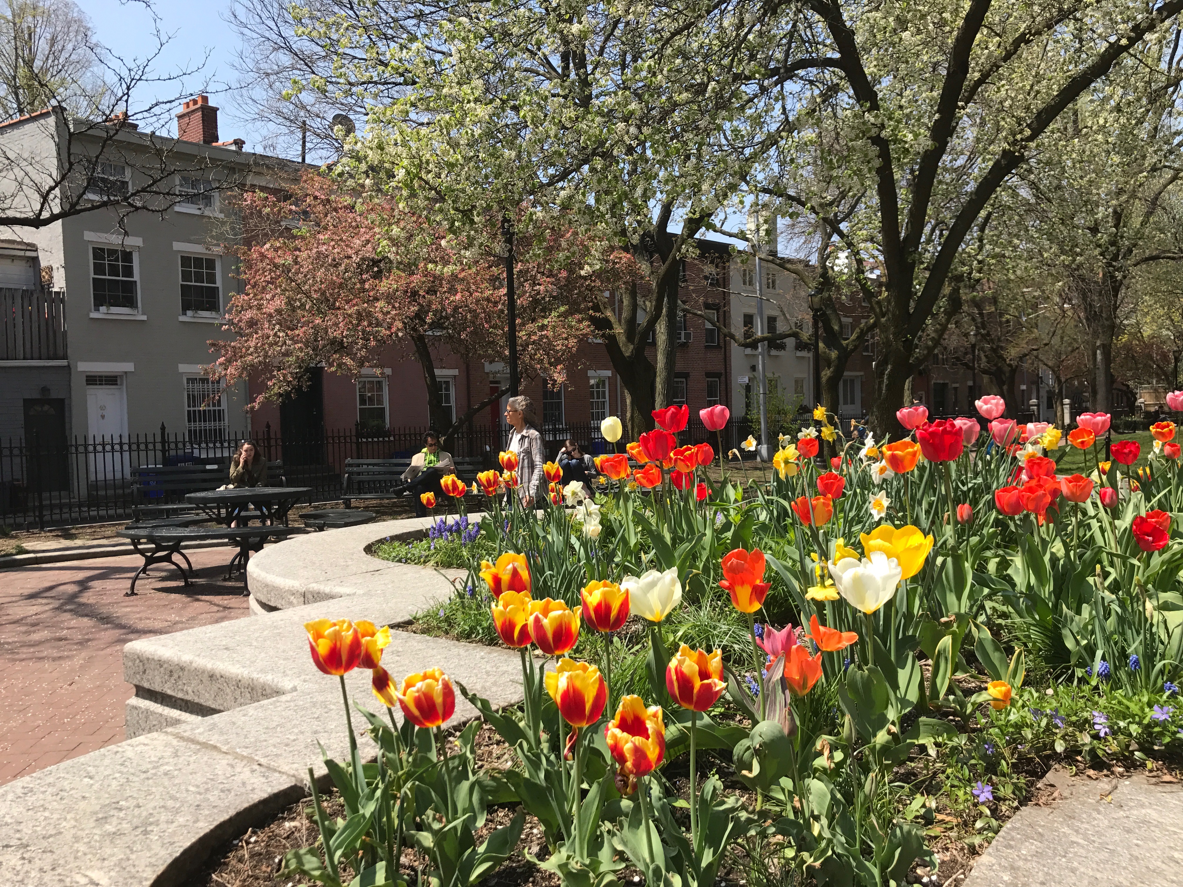 220 Congress Street, Unit 4E Brooklyn, NY 11201 - Photo 13 of 14 a view of yard with flowers and tree