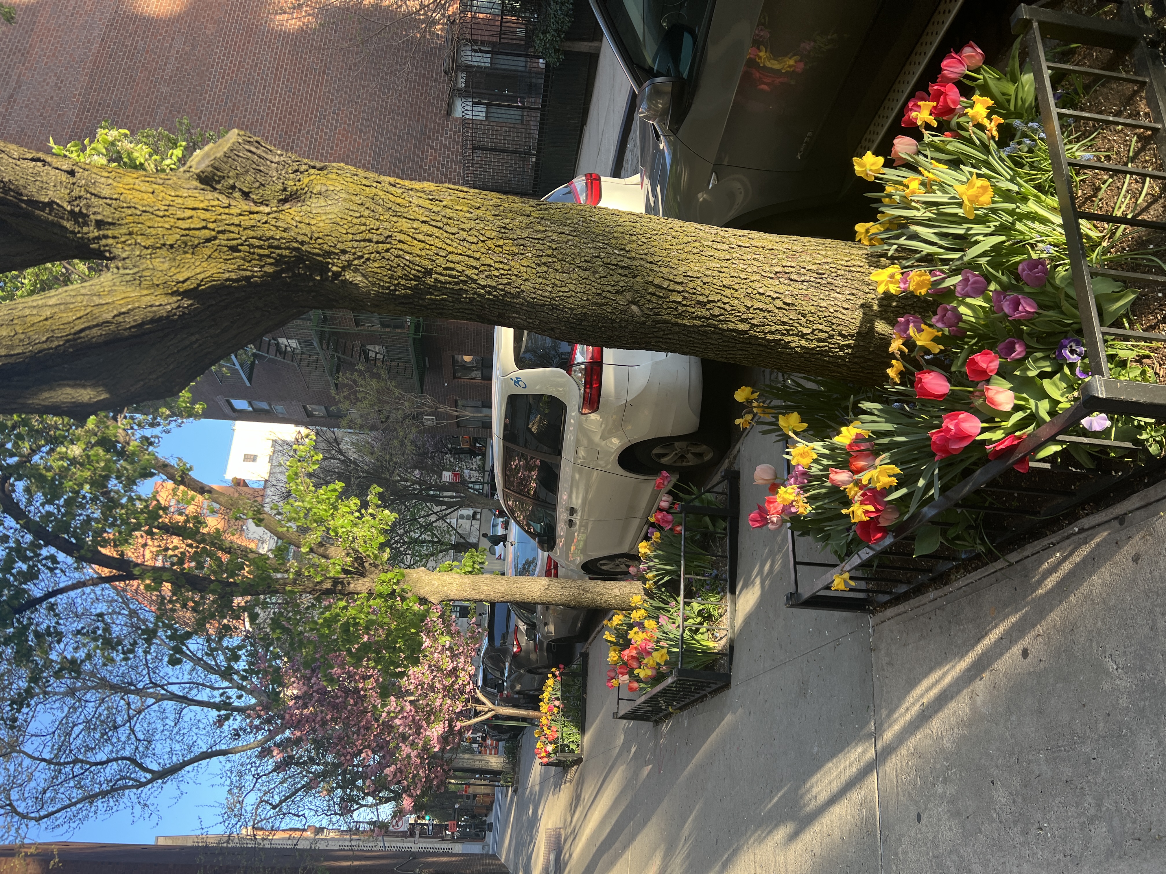 167 Perry Street, Unit 5D Manhattan, NY 10014 - Photo 12 of 18 a store filled with lots of different kinds of flowers