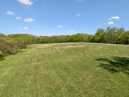 a view of a field of grass and trees