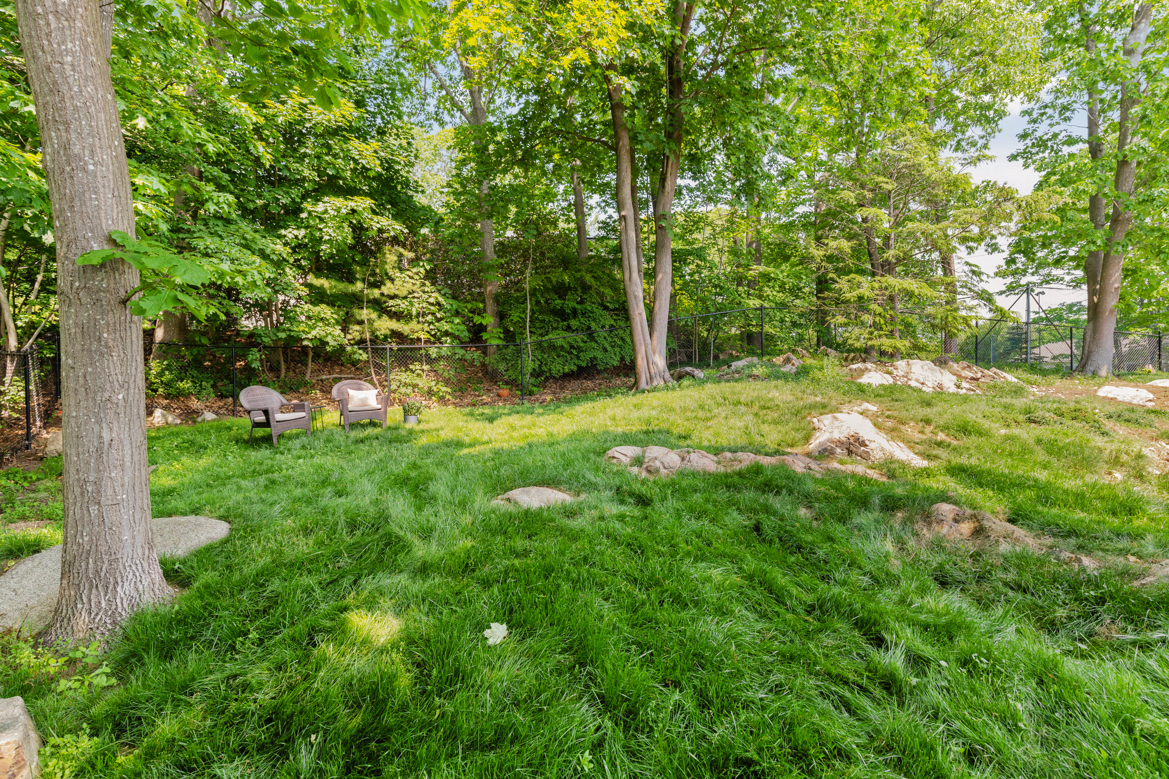 7 Pickman Road Beverly, MA 01915 - Photo 23 of 31 a view of a tree in a garden