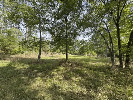 a view of backyard with green space