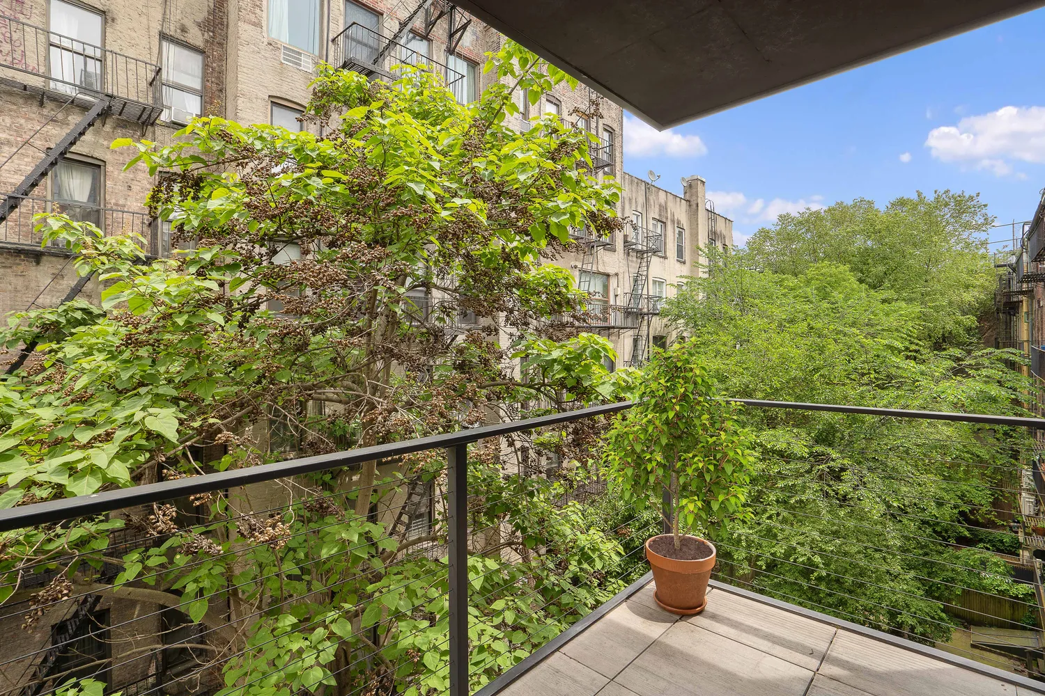a view of a balcony with wooden floor and plant