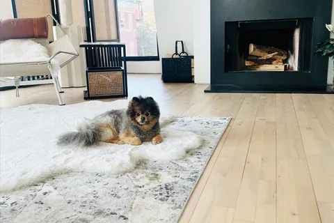 $2,399,999 | 201 Newbury Street, Unit Undisclosed, Boston, MA 02116