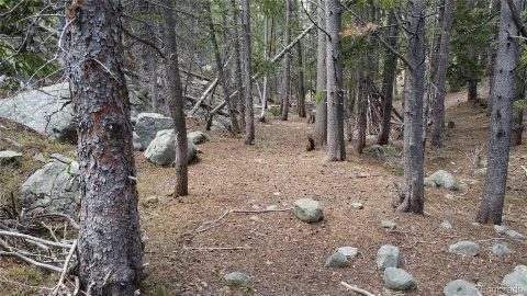 $65,000 | 0 Brook Drive, Idaho Springs, CO 80452