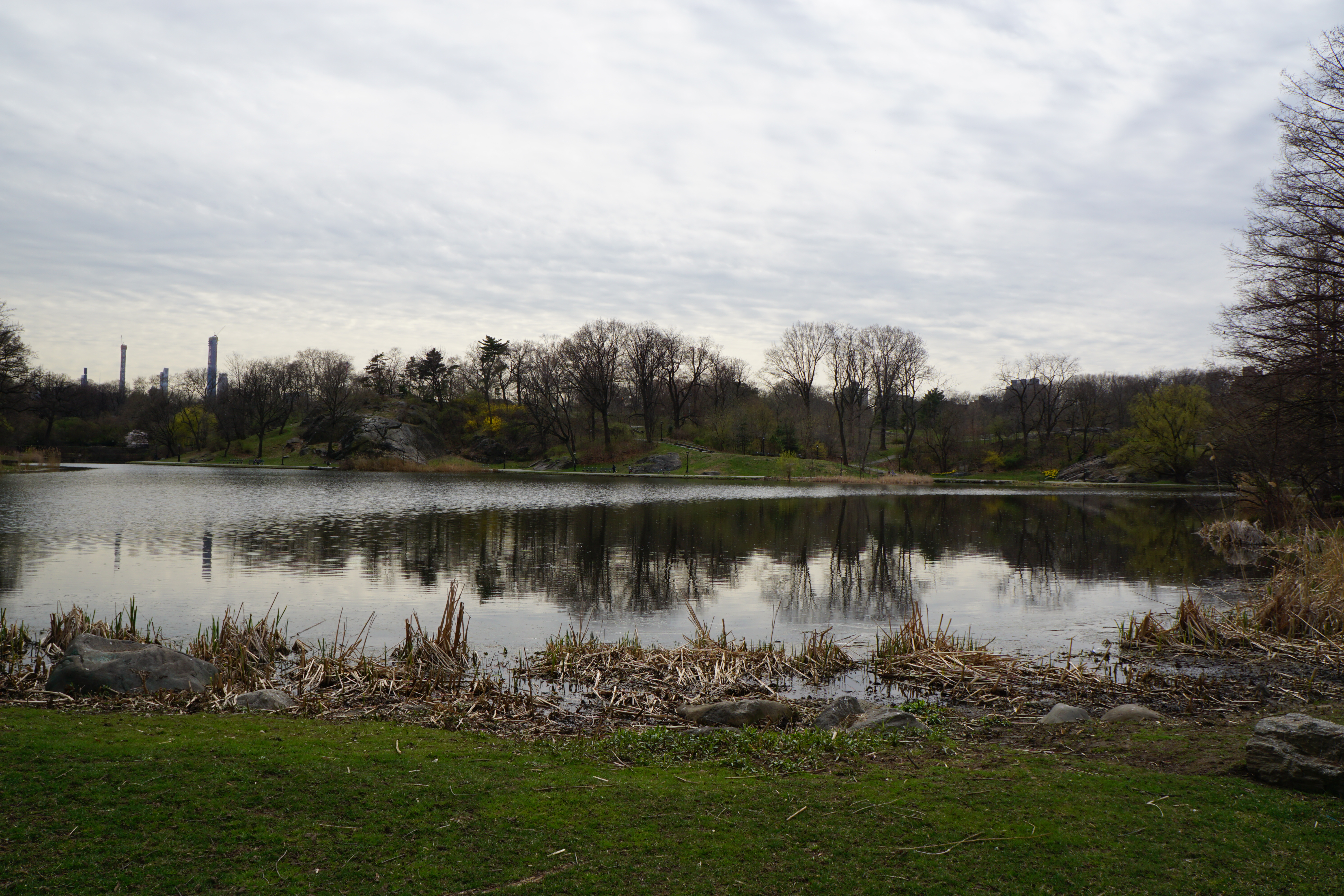 1255 5th Avenue, Unit 5J Manhattan, NY 10029 - Photo 14 of 17 a view of a lake