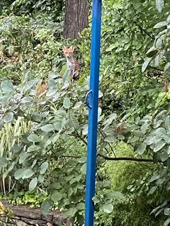 $675,000 | 115 Lakeside Drive, Greenbelt, MD 20770