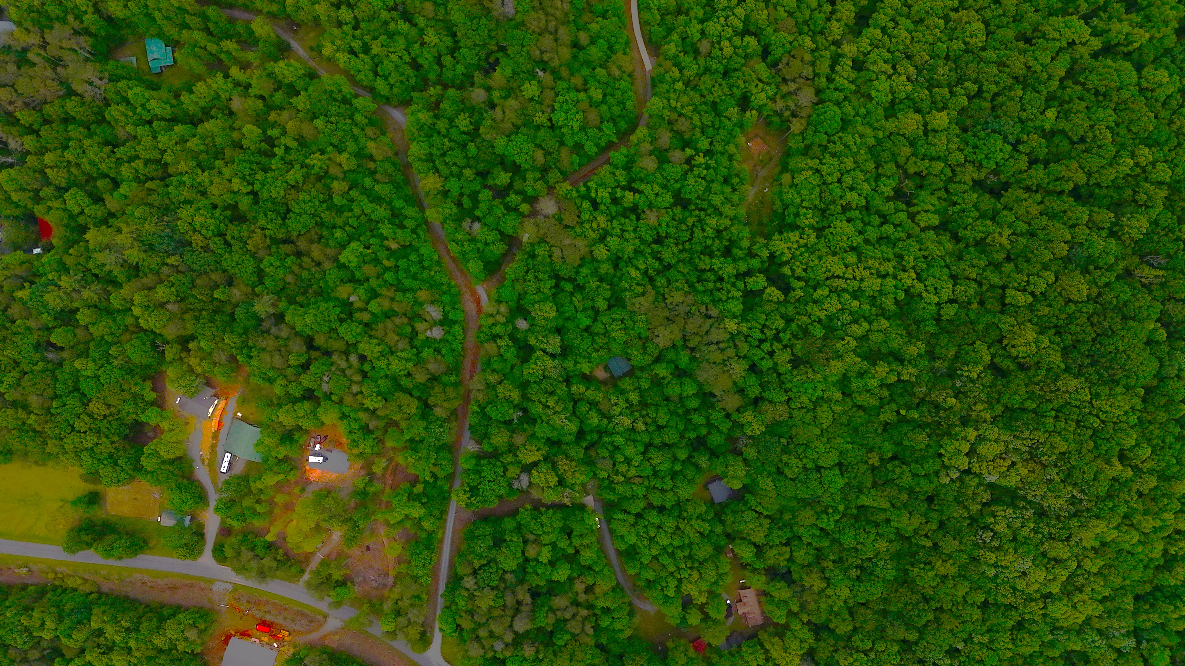 Nocona Trail Ellijay, GA 30536 - Photo 13 of 18 a view of a lush green forest