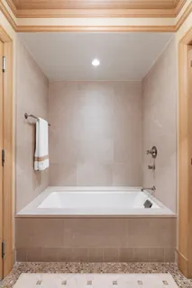 a bathroom with a bathtub and a shower