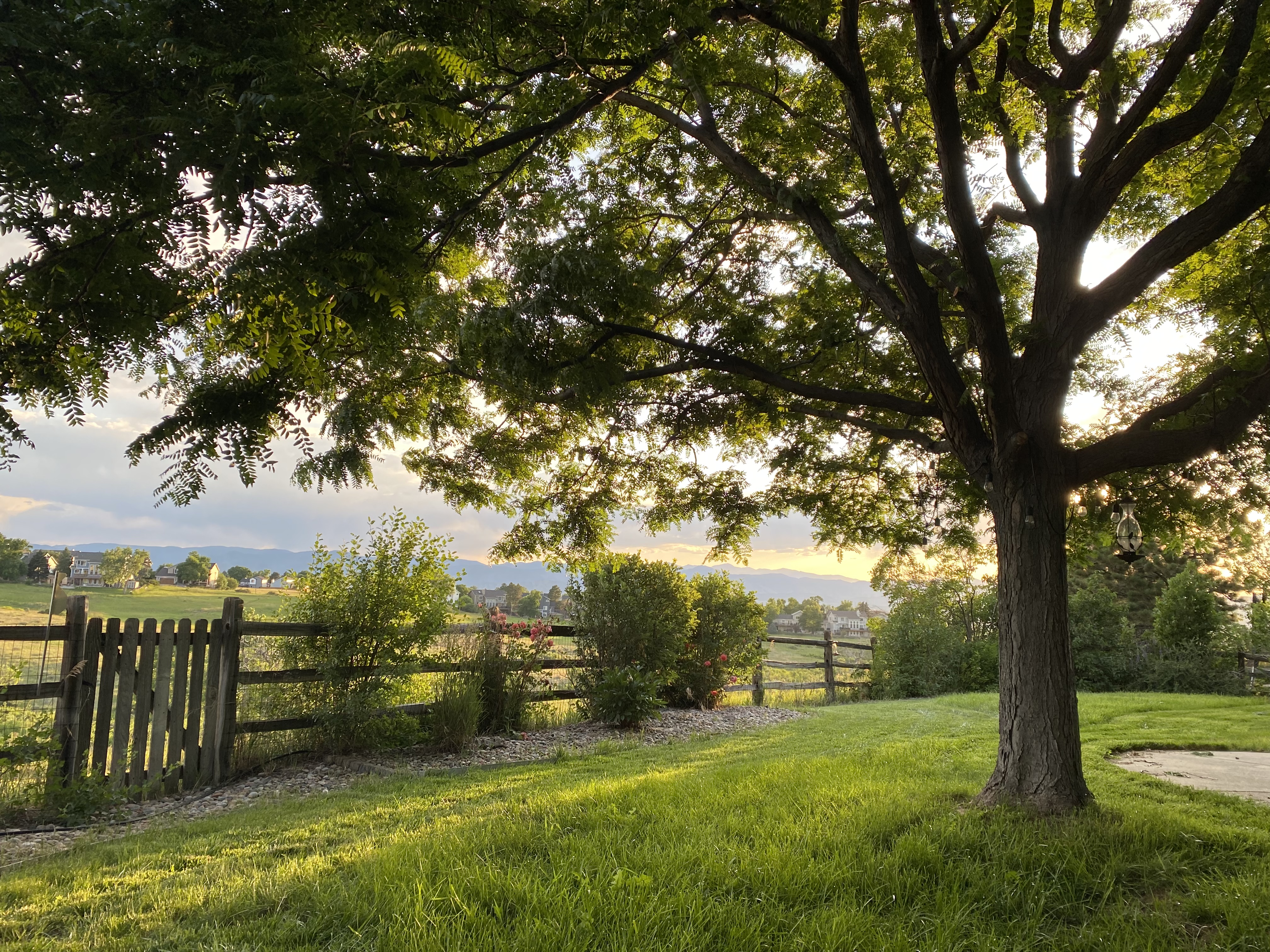 1574 Sunset Ridge Road Highlands Ranch, CO 80126 - Photo 20 of 22