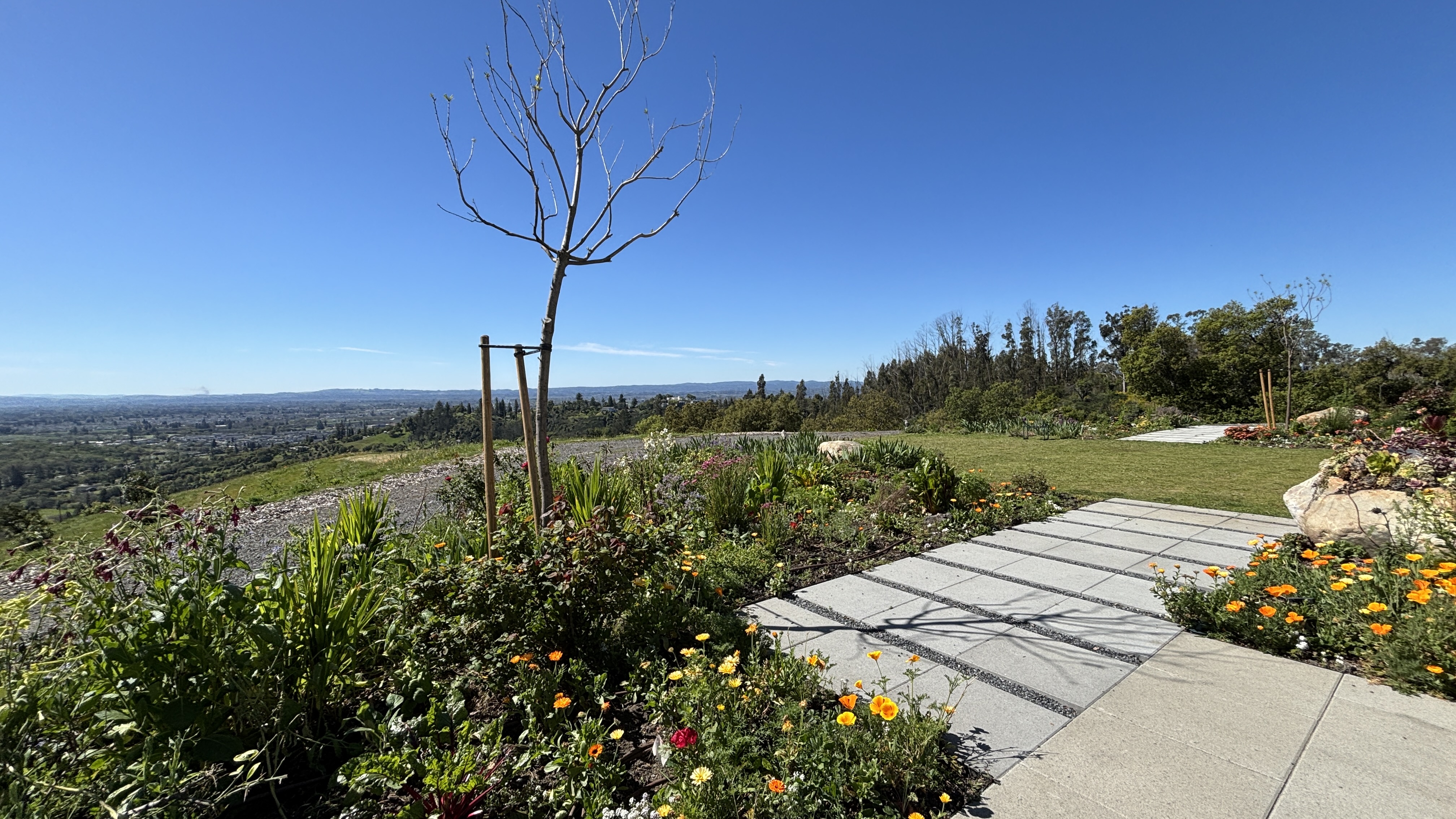 1196 Quietwater Ridge Santa Rosa, CA 95404 - Photo 25 of 36