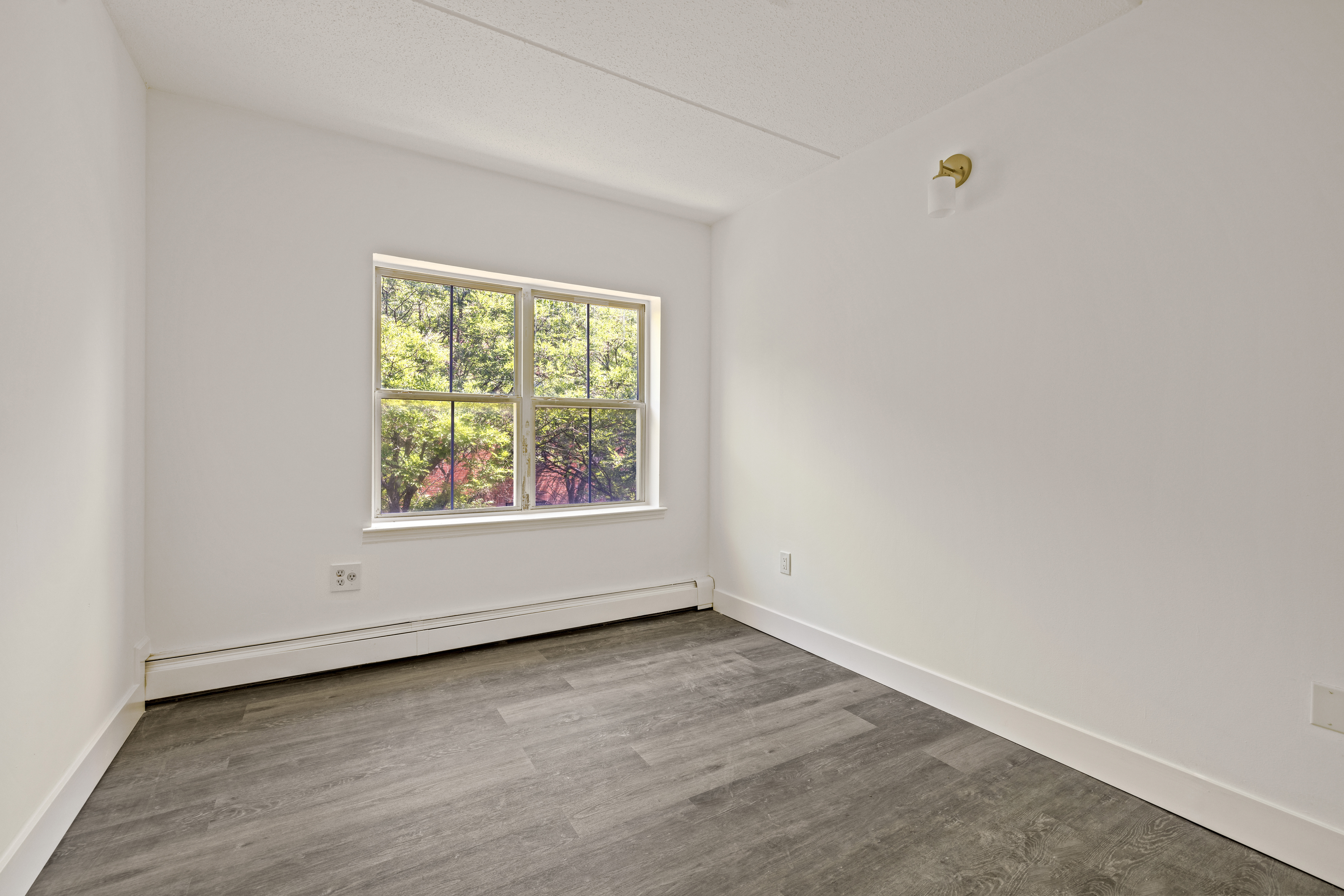 175 Eldert Street, Unit 2 Brooklyn, NY 11207 - Photo 5 of 15 an empty room with wooden floor and windows