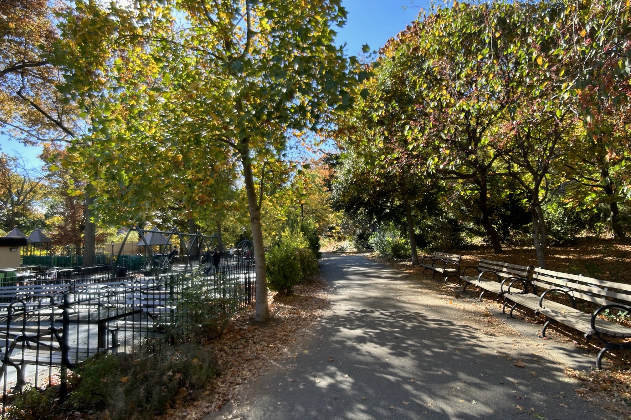 501 West 122nd Street, Unit A2 Manhattan, NY 10027 - Photo 14 of 21 a view of a forest with trees
