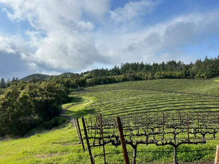 $1,795,000 | 31920 Pine Mountain Road, Cloverdale, CA 95425