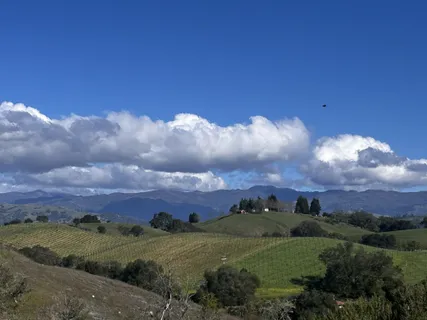 $1,850,000 | 10547 And 10443 Chalk Hill Road, Healdsburg, CA 95448