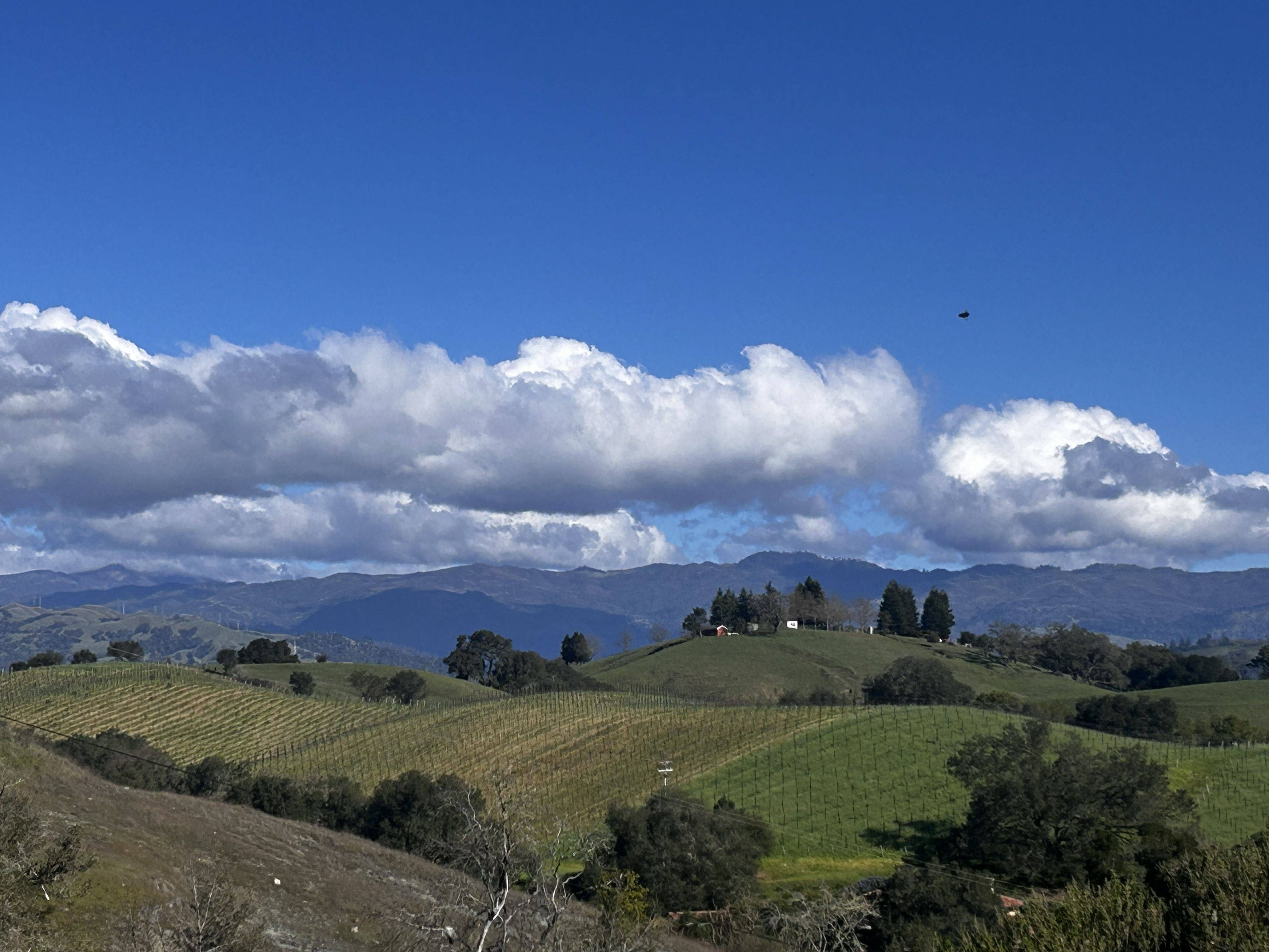 10547 And 10443 Chalk Hill Road Healdsburg, CA 95448 - Photo 3 of 23