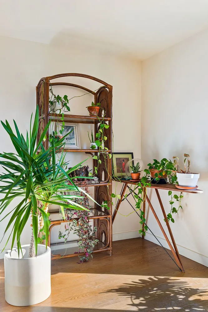 $5,800 | 315 Greene Avenue, Unit 4A | Bedford-Stuyvesant