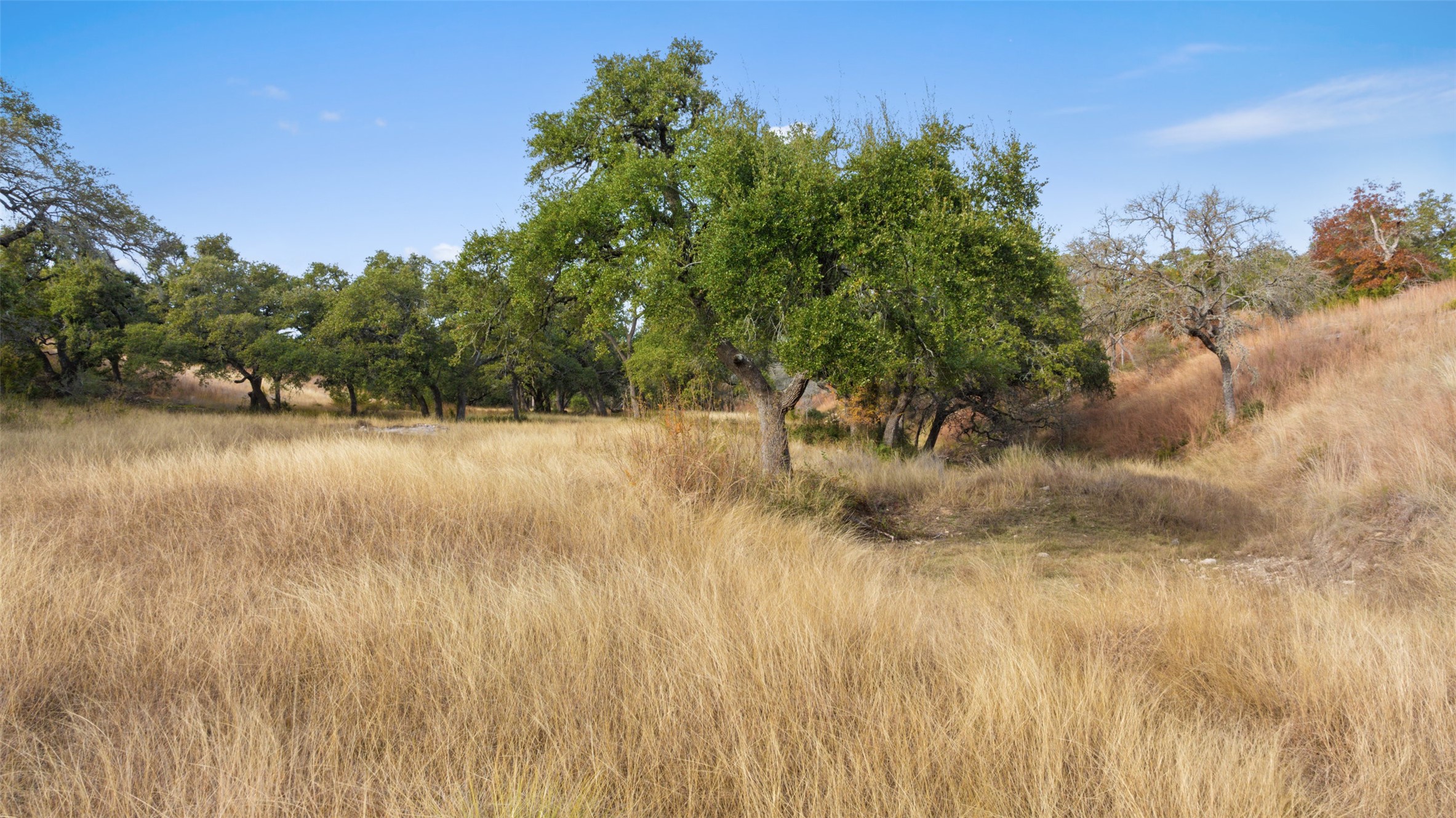 751 Prochnow Road Dripping Springs, TX 78620 - Photo 39 of 40