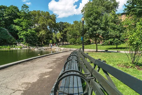 a view of a yard in front of a house