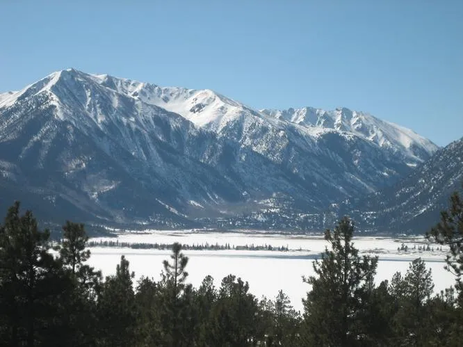 a view of a yard in front of a house
