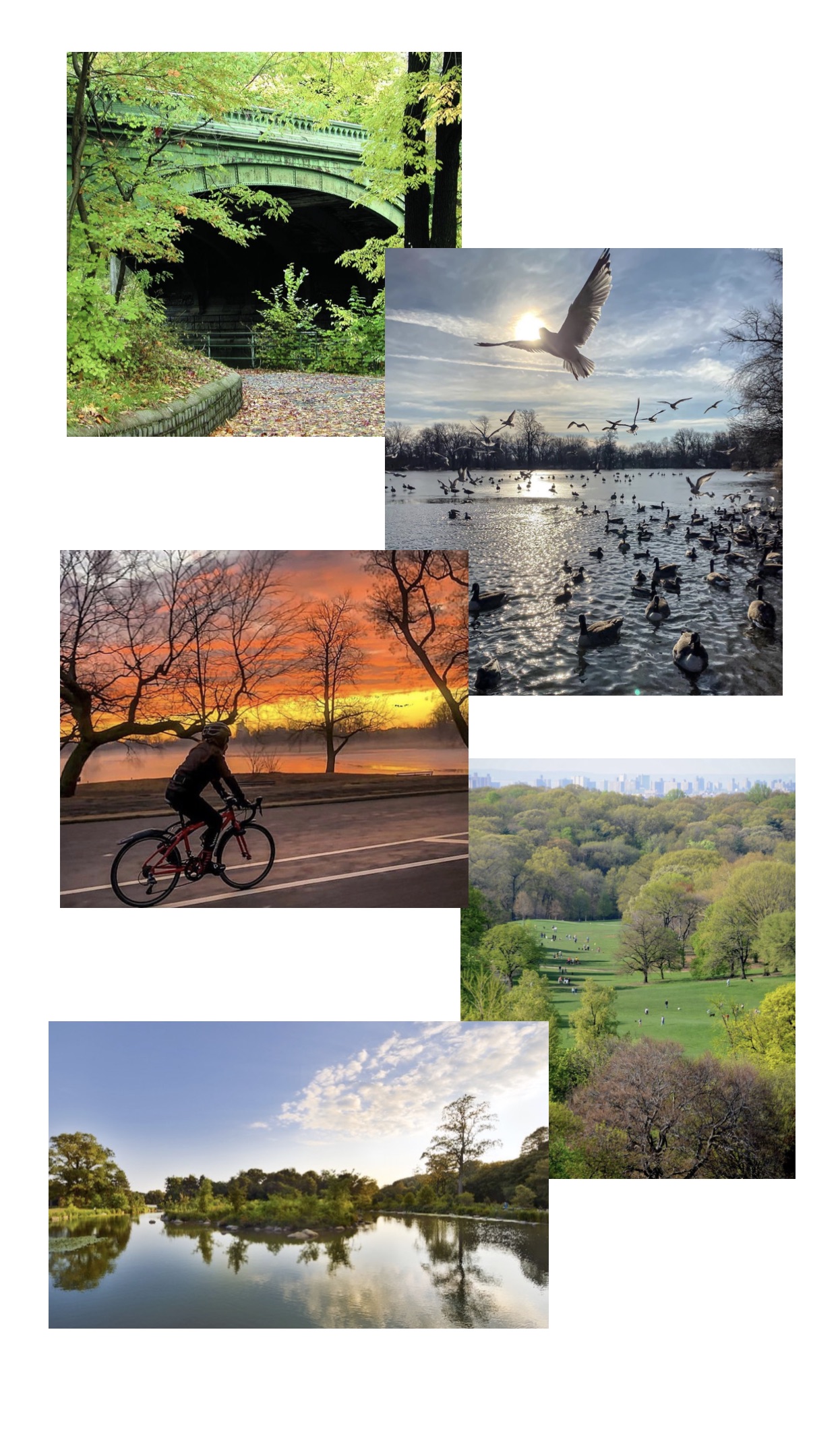 195 Clarkson Avenue, Unit 5C Brooklyn, NY 11226 - Photo 14 of 25