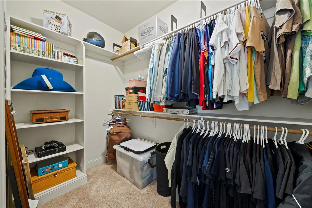 a picture of a tree in a backyard of a house