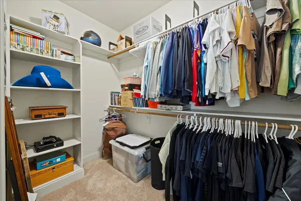 a picture of a tree in a backyard of a house