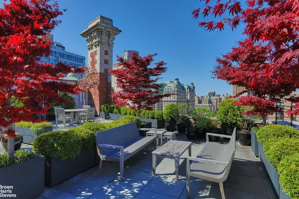 a view of a backyard with plants and a patio