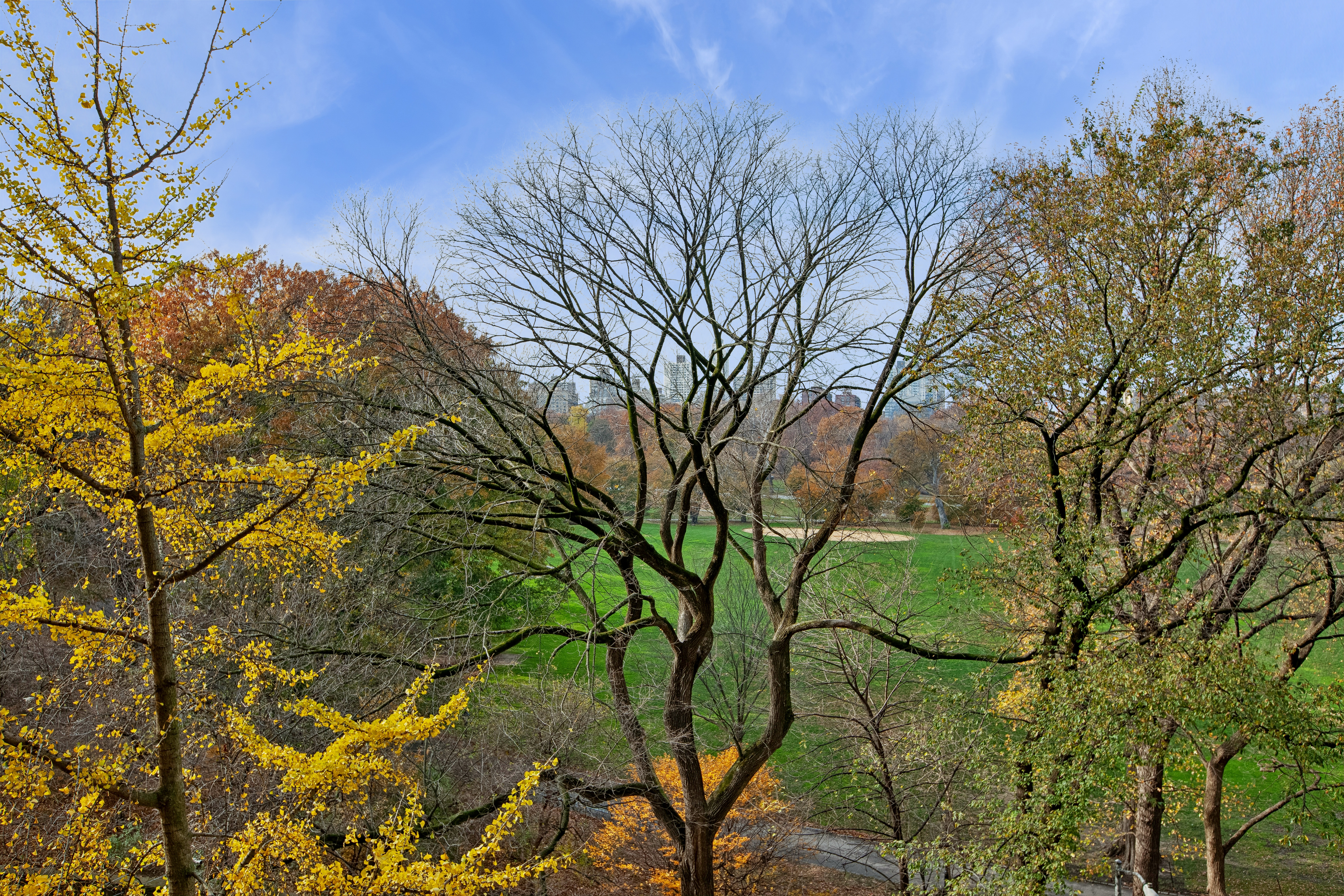 1170 5th Avenue, Unit 6A Manhattan, NY 10029 - Photo 2 of 17 a backyard of a house with lots of green space