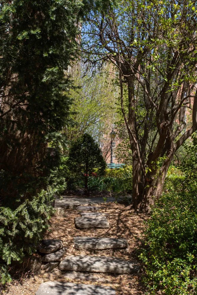 a front view of a house with a small yard and plant