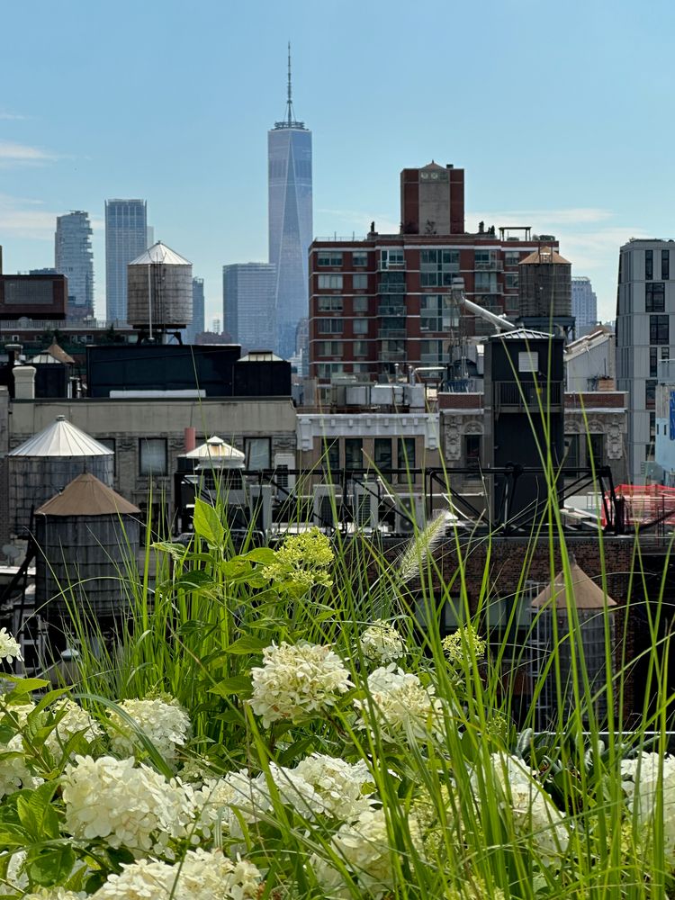 16 West 19th Street, Unit 8B Manhattan, NY 10011 - Photo 10 of 19 a city view