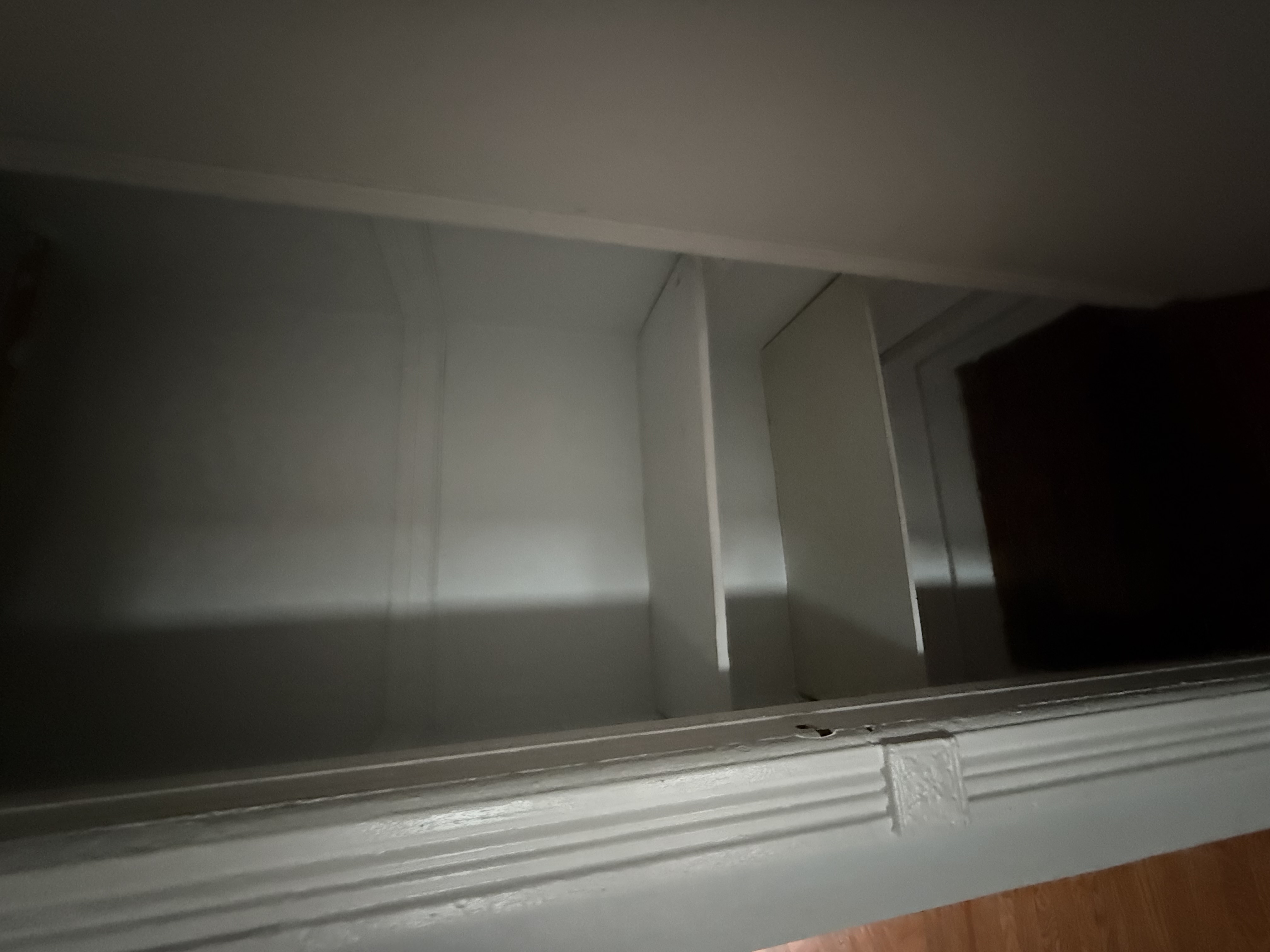 149 7th Avenue, Unit 4 Brooklyn, NY 11215 - Photo 8 of 9 a view of walk in closet with empty racks