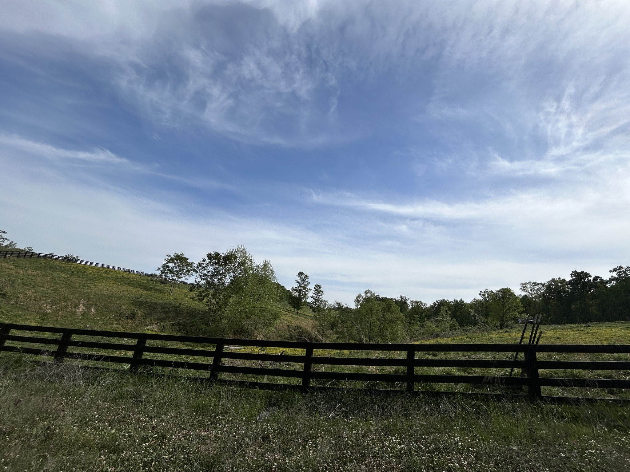 7810 Oscar Green Road Primm Springs, TN 38476 - Photo 2 of 13