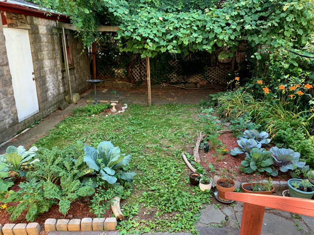 642 East 26th Street Brooklyn, NY 11210 - Photo 29 of 32 a backyard of a house with lots of green space