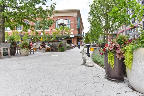 a view of a kid room with a trampoline