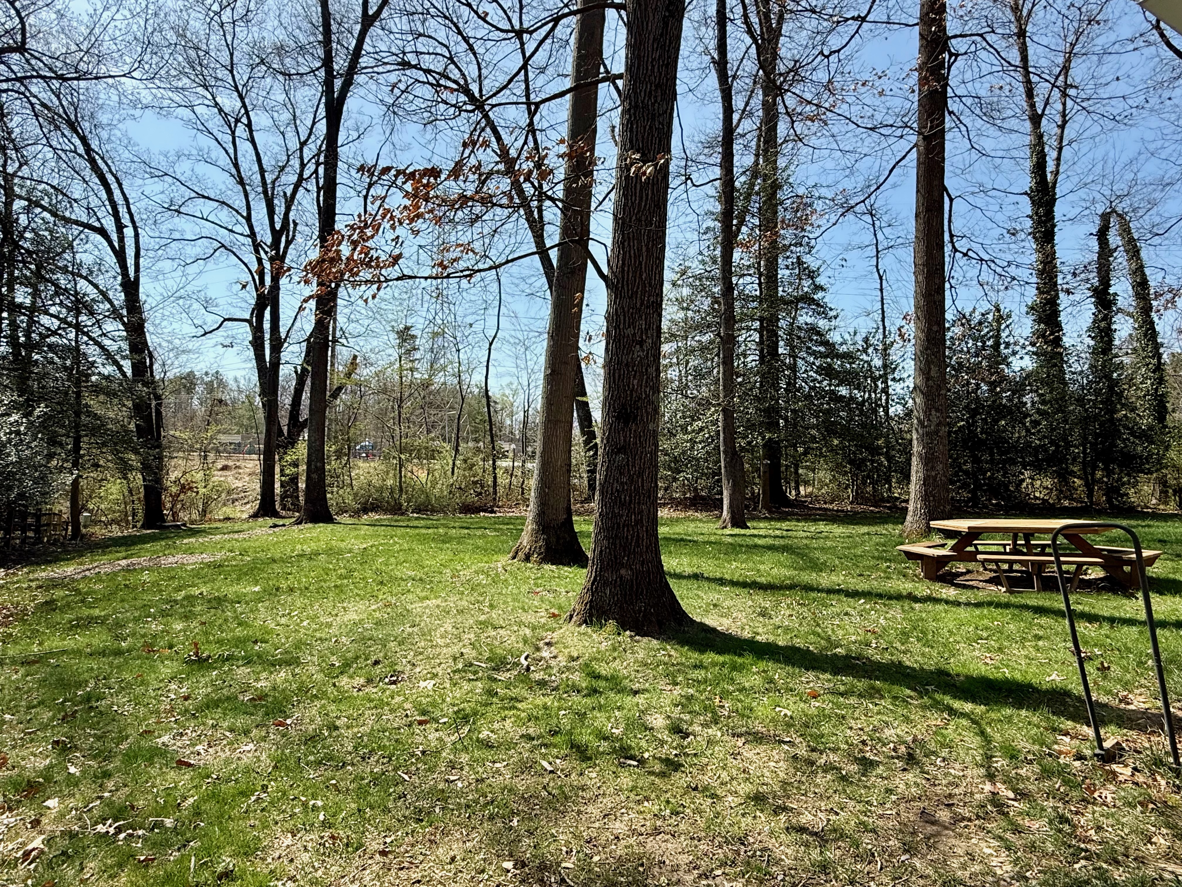 10807 Winter Corn Lane Reston, VA 20191 - Photo 5 of 10