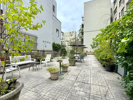 a view of a patio with plants and chairs