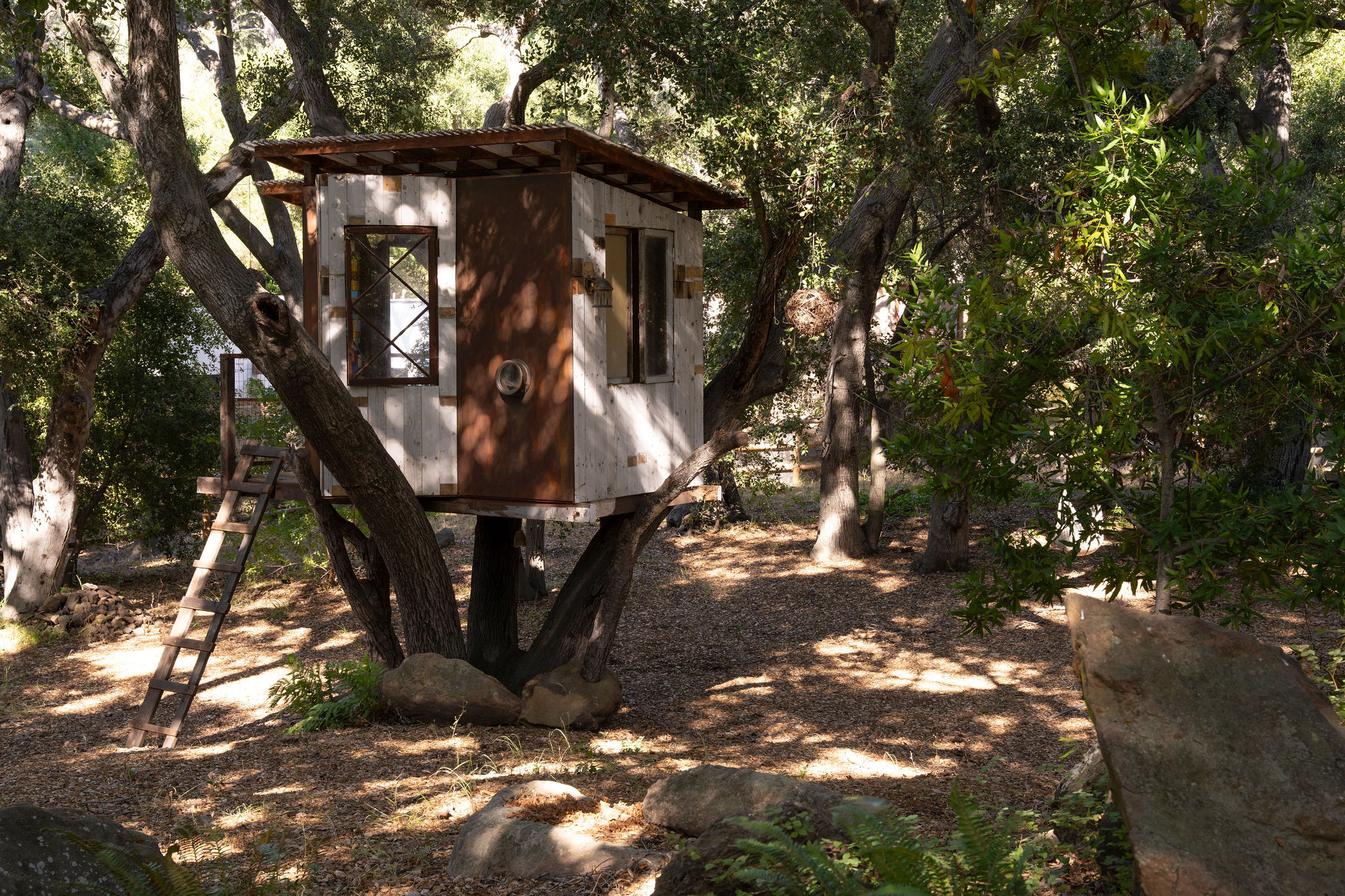 560 Cold Canyon Road Calabasas, CA 91302 - Photo 81 of 84 a view of a tree in a yard
