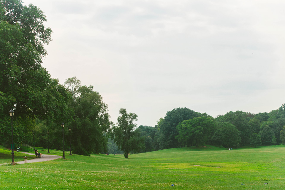 556 Vanderbilt Avenue, Unit 2 Brooklyn, NY 11238 - Photo 13 of 14 a view of a grassy field with trees
