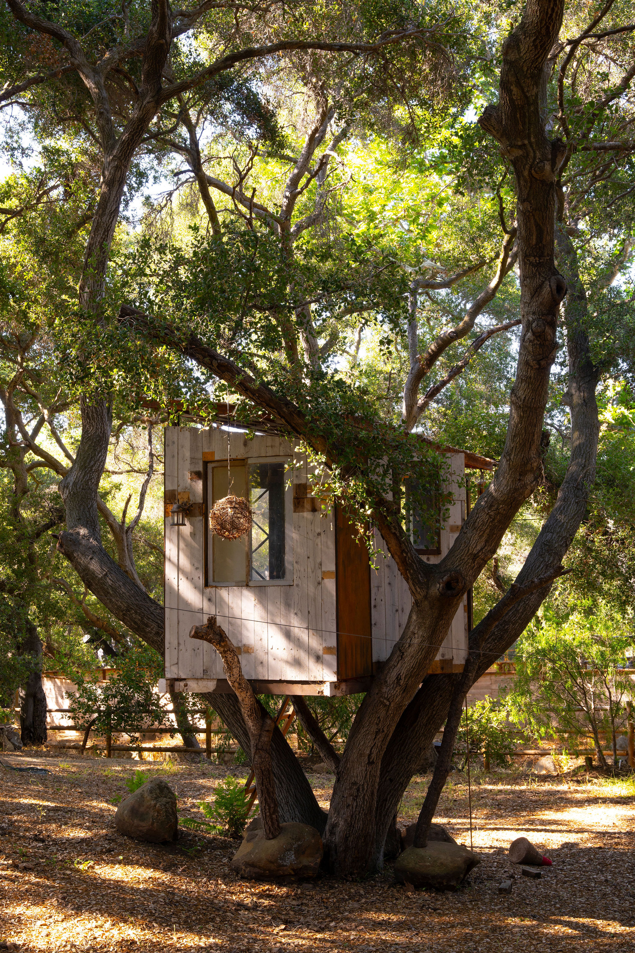 560 Cold Canyon Road Calabasas, CA 91302 - Photo 82 of 84 a front view of a house with a yard