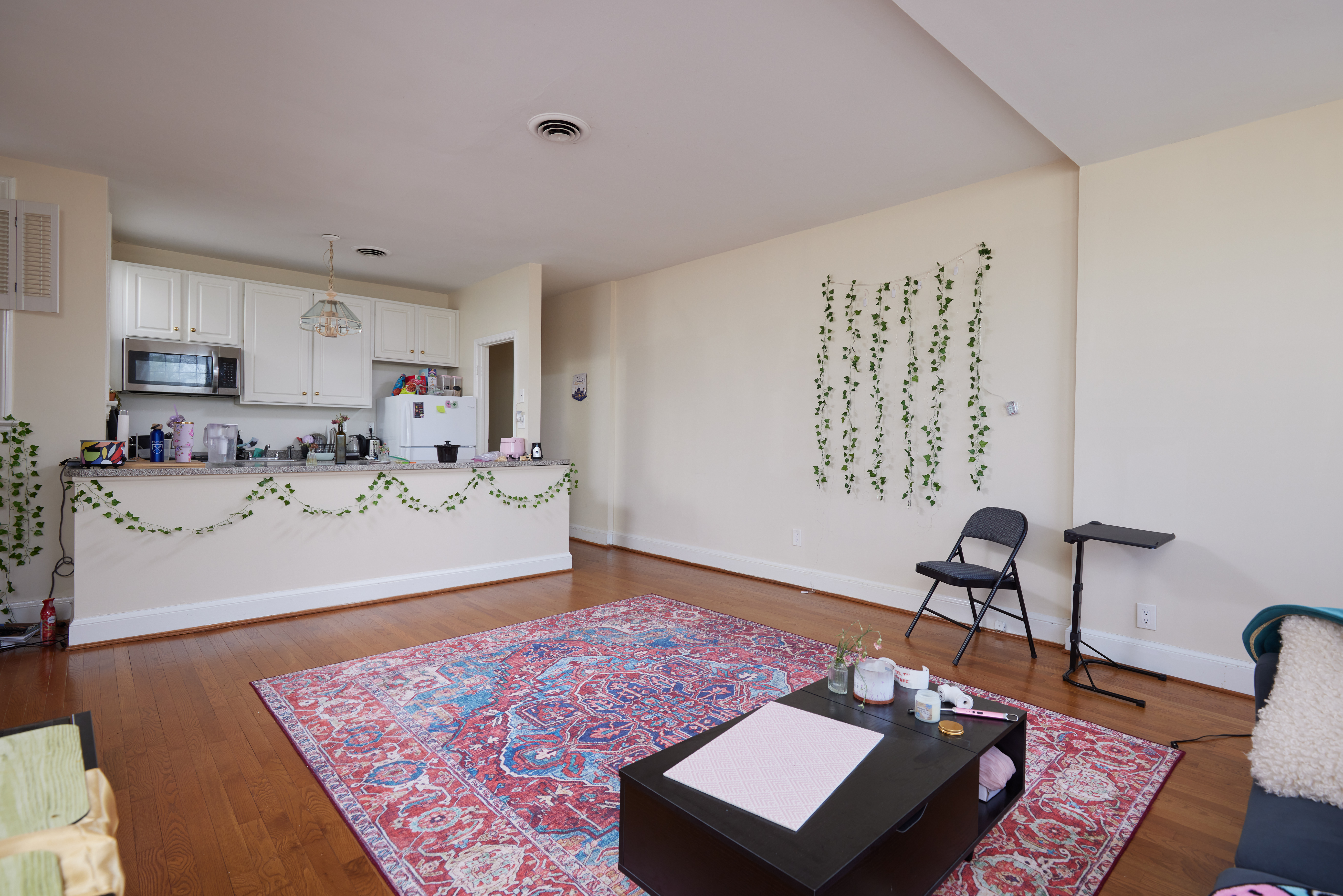 3420 R Street Northwest Washington, DC 20007 - Photo 36 of 53 a living room with furniture and a rug