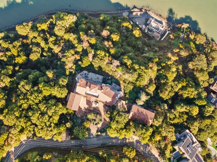 an aerial view of houses covered in trees