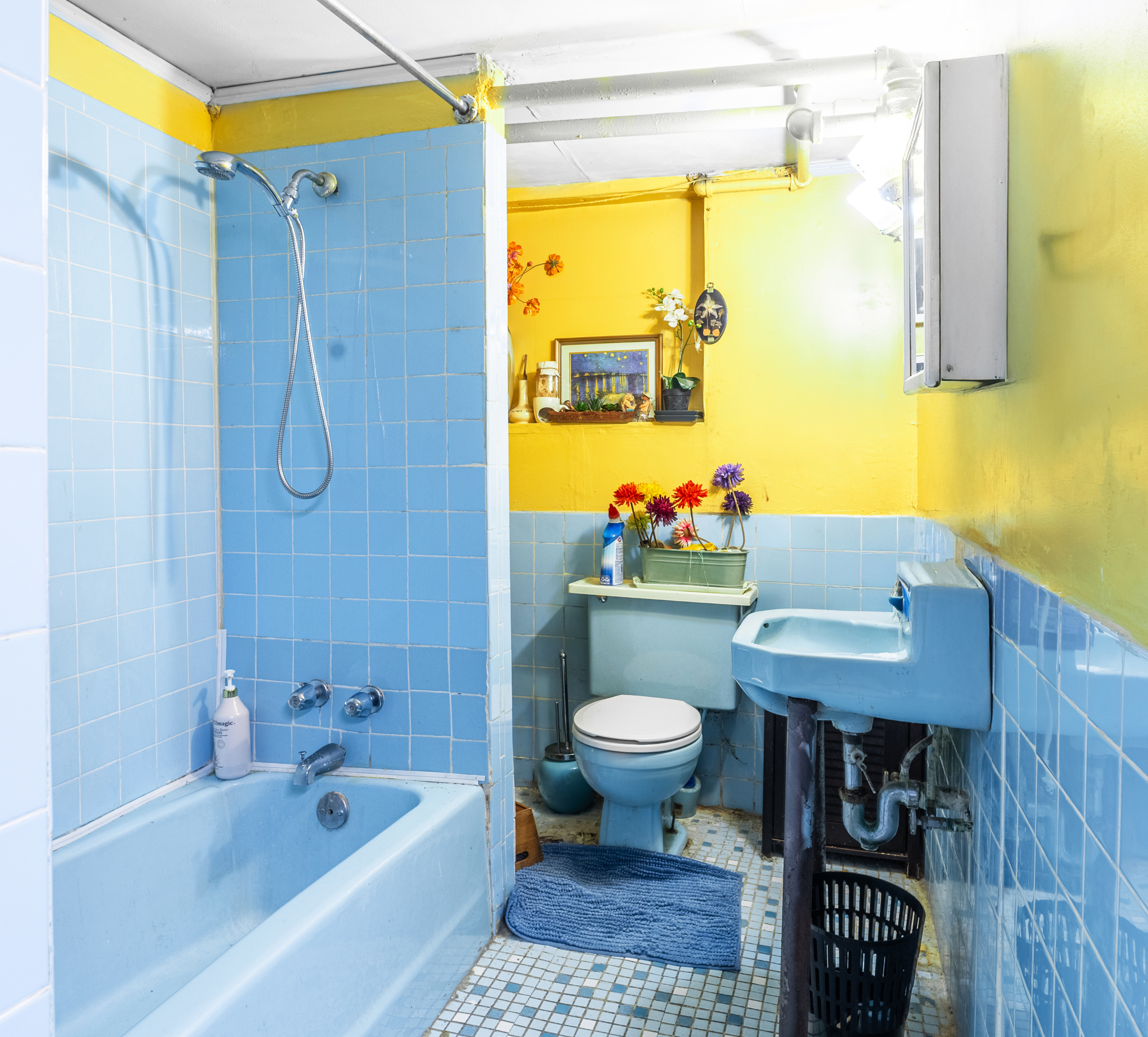 201 Maple Street Brooklyn, NY 11225 - Photo 18 of 21 a bathroom with a sink toilet a mirror and shower