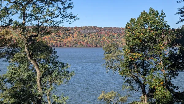 a view of a yard with plants and wooden fence
