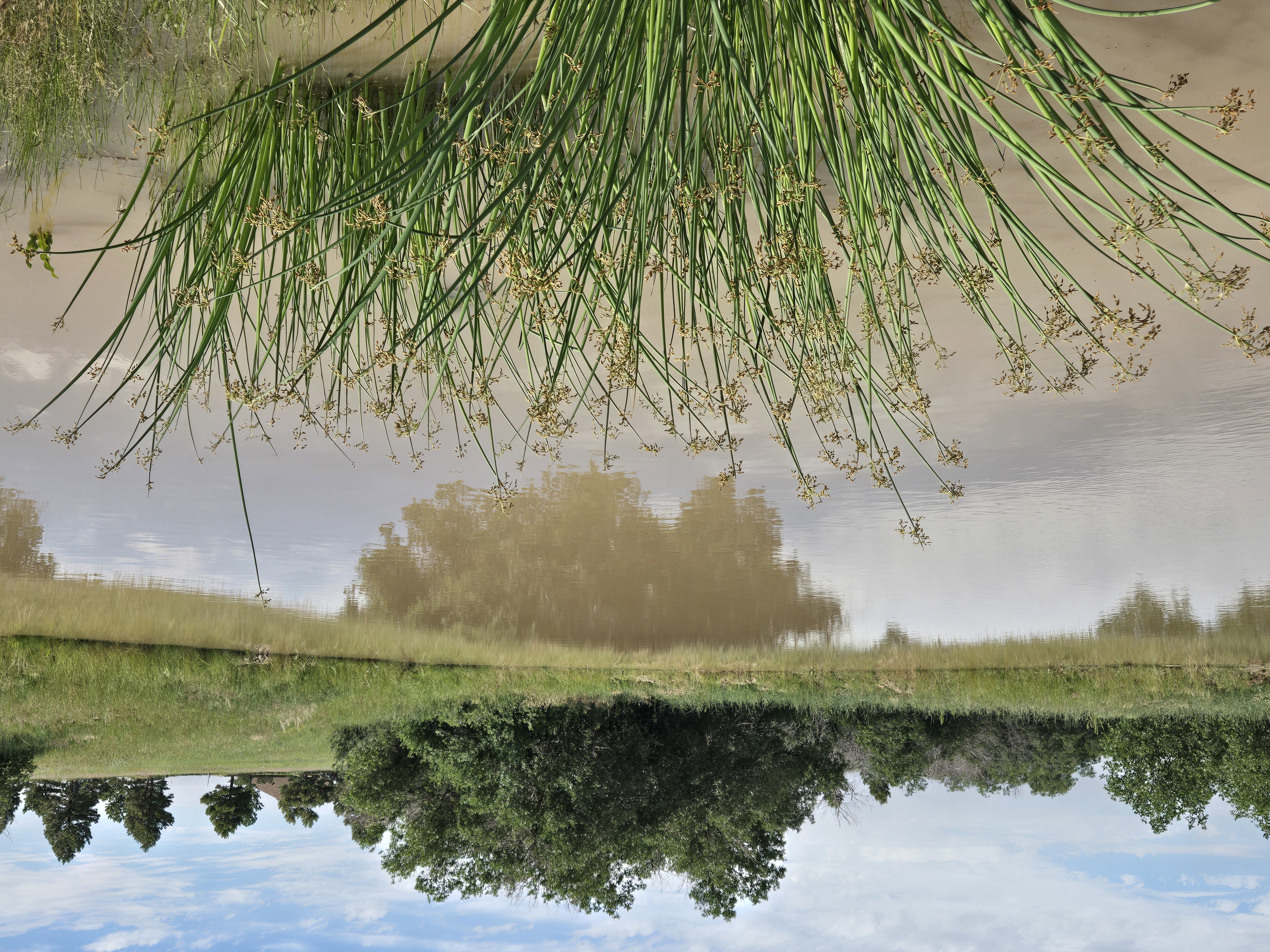 4347 Crowfoot Valley Road Castle Rock, CO 80108 - Photo 39 of 50