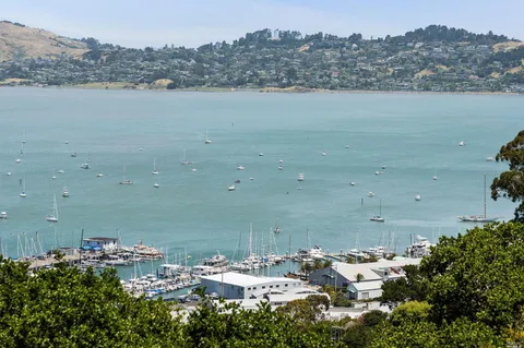 Contact Agent | 19 Toyon Lane, Sausalito, CA 94965