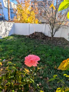 $650,000 | 167 Lexington Street, Unit 2, East Boston, MA 02128